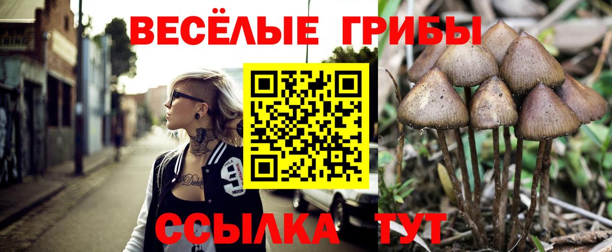 Сафоново  Псилоцибиновые грибы мицелий  Вход с VPN 