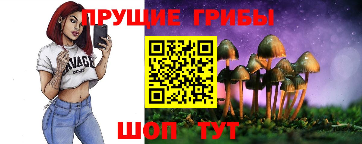 Галлюциногенные грибы прущие грибы Сафоново